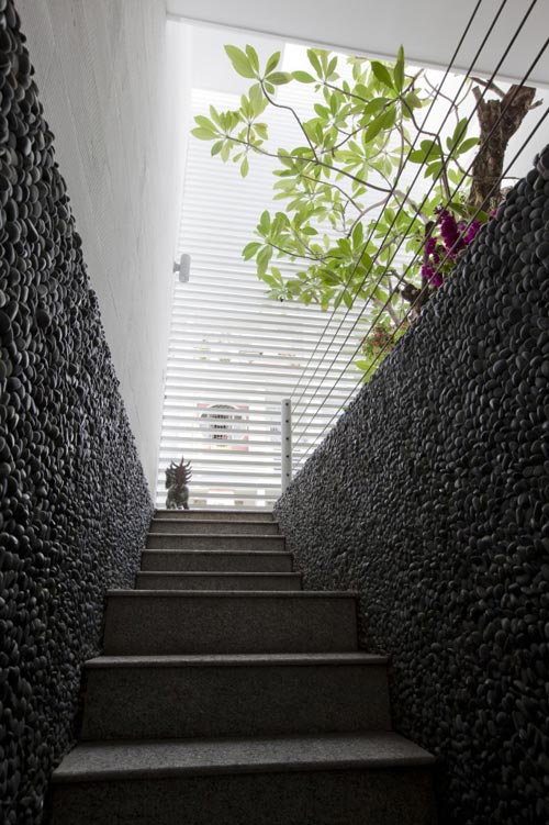 80m2 nhà ống Sài Gòn đẹp ngọt ngào - 3