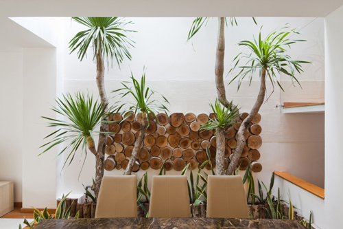 80m2 nhà ống Sài Gòn đẹp ngọt ngào - 11