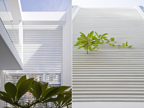 80m2 nhà ống Sài Gòn đẹp ngọt ngào - 2