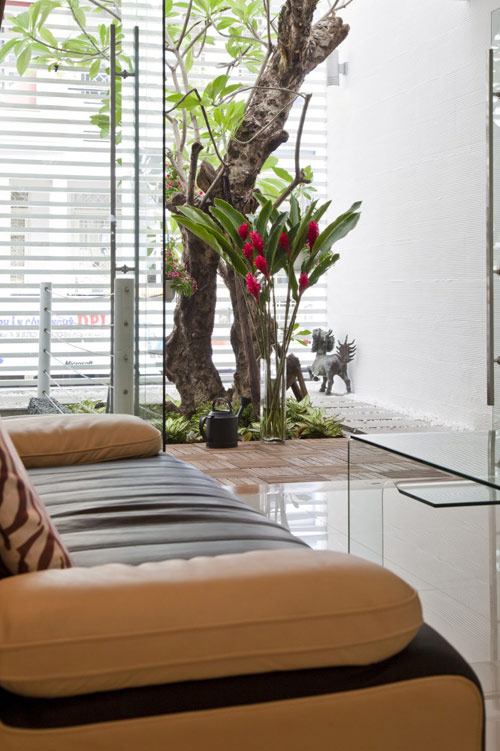 80m2 nhà ống Sài Gòn đẹp ngọt ngào - 6