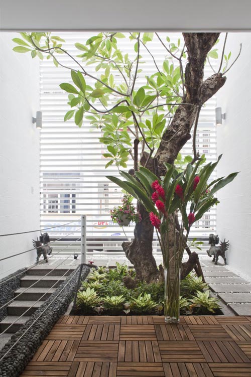 80m2 nhà ống Sài Gòn đẹp ngọt ngào - 4