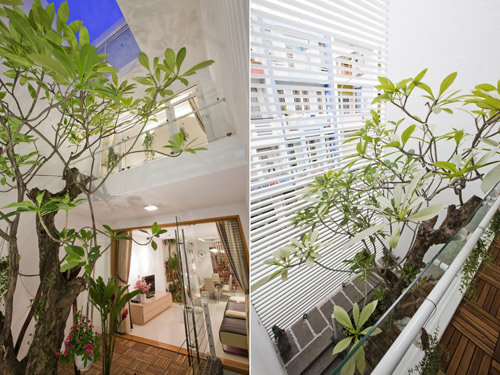 80m2 nhà ống Sài Gòn đẹp ngọt ngào - 14